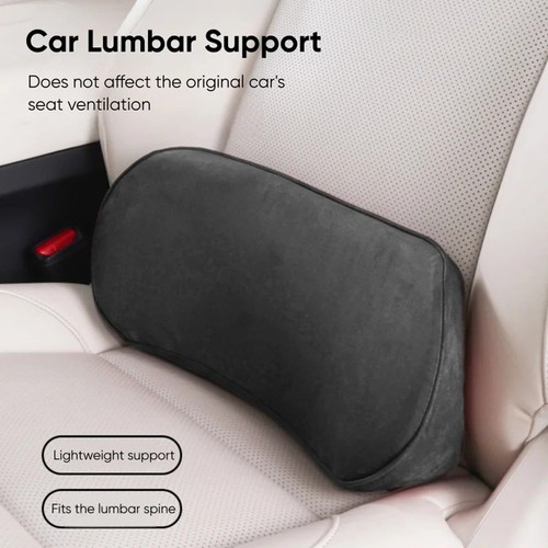 Back cushion support - back,